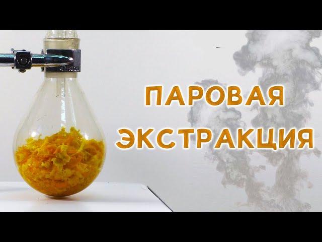 ORANGE: EXTRACTION AND CHEMICAL ANALYSIS!