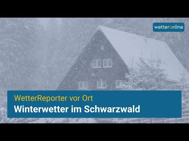 Winterwetter im Schwarzwald - Schneefall in den deutschen Mittelgebirgen