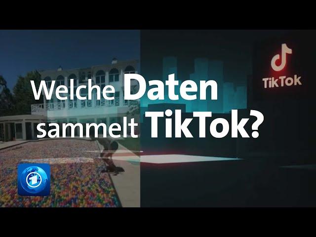 So sammelt TikTok Daten | China: Überwachungsstaat oder Zukunftslabor?