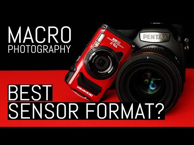 Small Sensors for Small Subjects? Which Sensor Format to Choose for Macro Photography