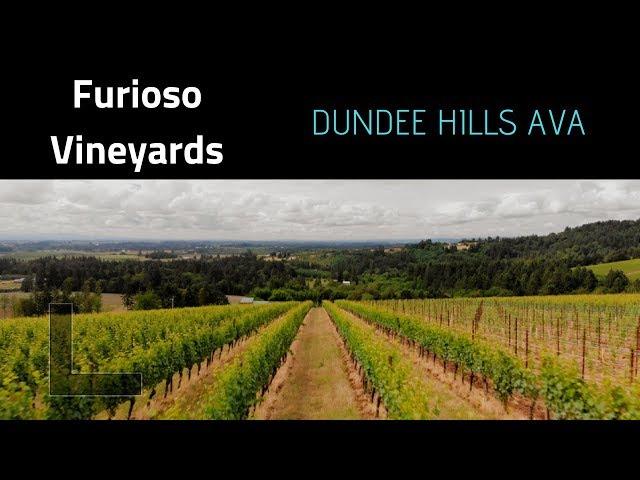 Wine Tasting In The DUNDEE HILLS, Oregon - Furioso Vineyards (Video)