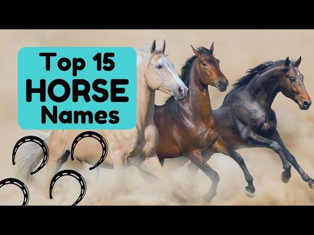 Horse Names | Joyful Equestrian