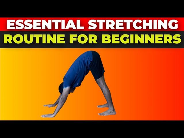 Essential Stretching Routine for Beginners | Daily Stretching Routines For Beginners | Yoga Glow |