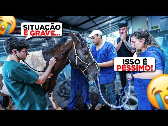 MEU CAVALO ESTÁ INTERNADO EM ESTADO GRAVE NO HOSPITAL  !! * muito doente *