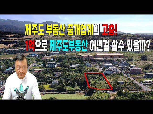 제주도 부동산중개업계의 고충!  1억으로 제주도 부동산 어떤 걸 살 수 있을까? (풀버전)