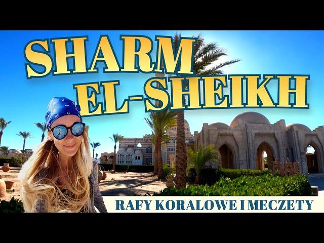 Sharm El Sheikh 2022 - Rafy koralowe i meczety - travel 4K #egypt