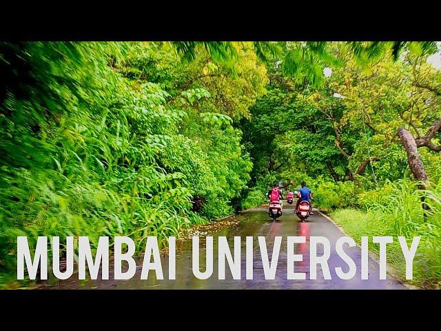 Mumbai University Kalina  SantaCruz (E) Mumbai - A drive through the greenery