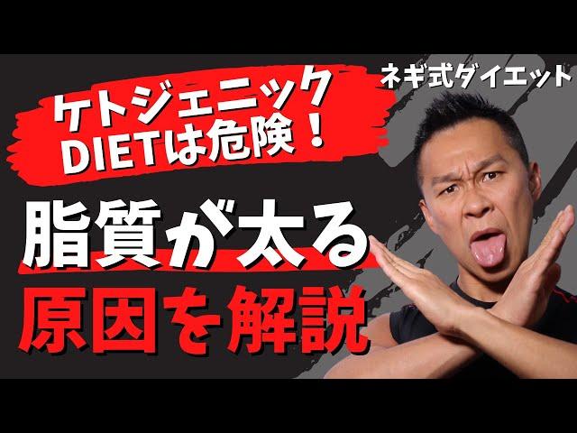 脂が太る原因を解説しまし（ネギ式ダイエット）