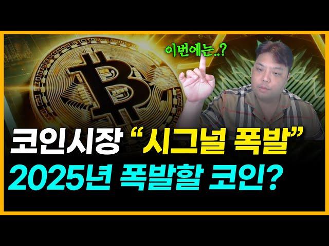 코인시장 "떡상 시그널", 2025년 '급등'할 알트코인 추천은?