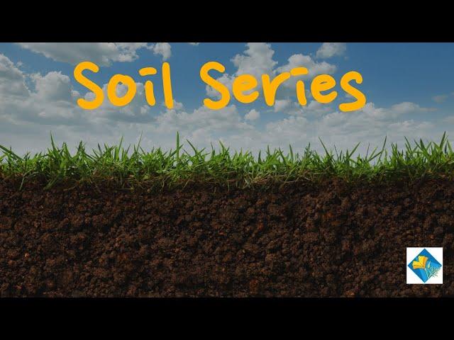 Soil Series: Mycorrhiza