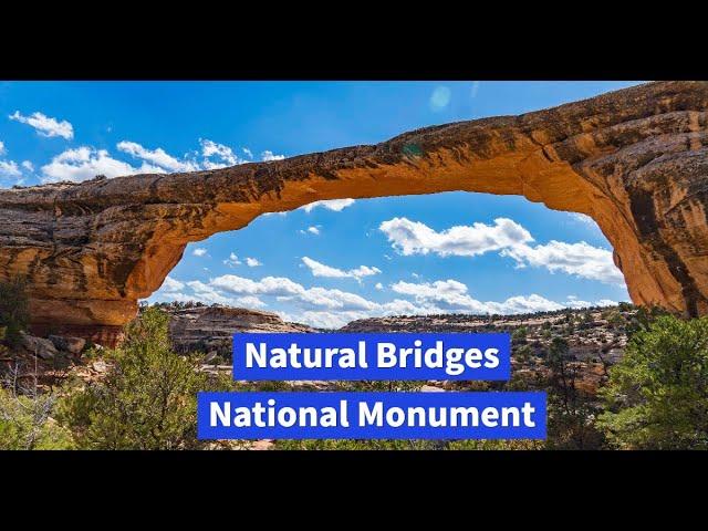 Natural Bridges National Monument | Great place for a one day visit