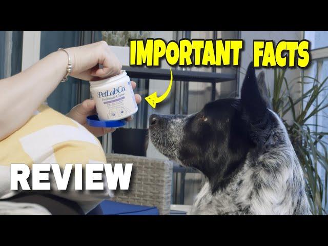 PetLab Co. Probiotics for Dogs Review