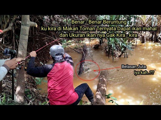 Sungguh Tak Menyangka Nasib ku Bisa Seberuntung ini Mancing ikan dapat ikan Langka ikan Mahal