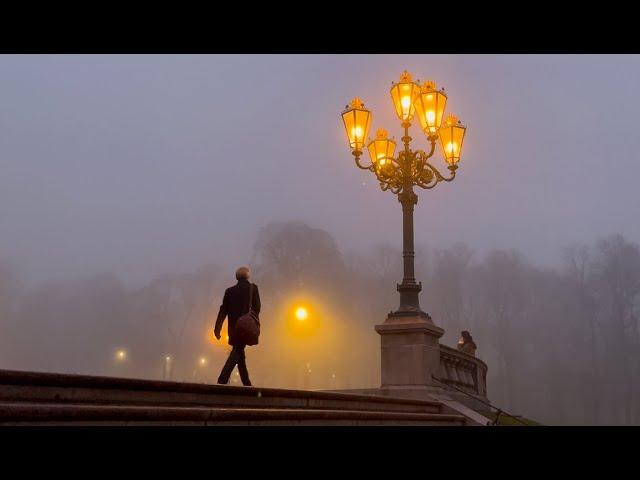 Alone in Oslo. Quiet city life with a dog / Silent vlog / Oslo main library / Akershus fortress