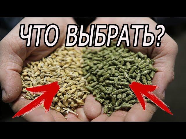 ЧЕМ КОРМИТЬ КРОЛИКОВ? МОЯ ЭВОЛЮЦИЯ В КОРМЛЕНИИ!