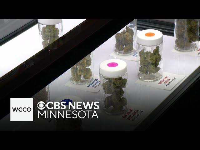 1 year ago today, Minnesota legalized recreational marijuana