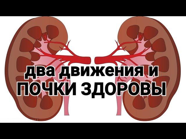 Здоровые почки за 2 движения