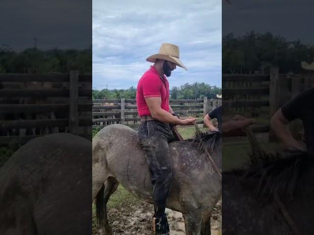 Adelino neto (Campeão internacional do rodeio de vacaria) 