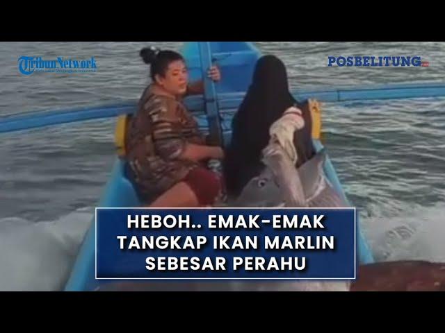 HEBOH.. Emak-emak Tangkap Ikan Marlin Sebesar Perahu
