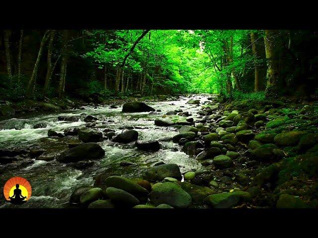 15 Minute Meditation Music, Calm Music, Relax, Meditation, Stress Relief, Spa, Study, Sleep, 3527B