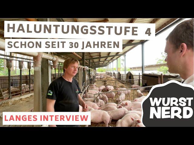 Schweine im Stroh seit 30 Jahren, langes Interview