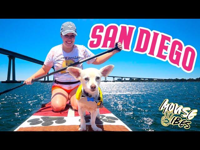 WHY YOU NEED TO VACATION IN SAN DIEGO | Mouse Vibes