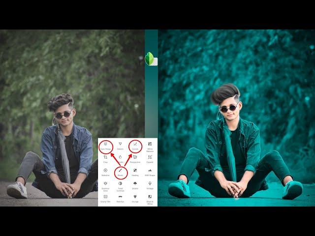 Snapseed Background Colour Change Trick | Snapseed Photo Editing Tutorial | Snapseed Editing Trick