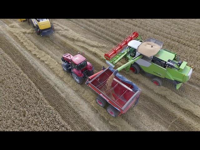 Derliaus nuėmimas/Harvesting Lithuania 2019.