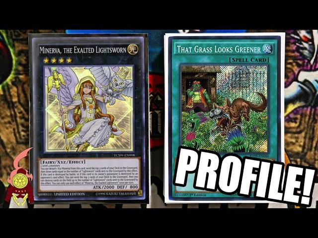 *YUGIOH* SHIRANUI SYMPHONIC LIGHTSWORN DECK PROFILE W/ GRASS LOOKS GREENER! Ft.JESSE KOTTON! 2017!