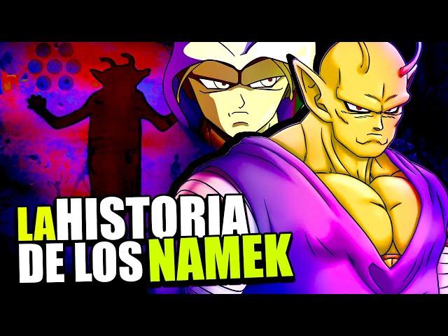EL ORIGEN DE PICORO: LA HISTORIA DE LOS NAMEKUSEI | DRAGON BALL SUPER