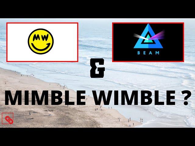 Was ist GRIN & BEAM? Wird MIMBLE WIMBLE die Szene auf den Kopf stellen? 100% Privacy | 100% anonym?!