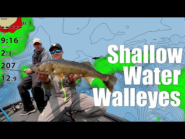 Catching Shallow Water Walleyes