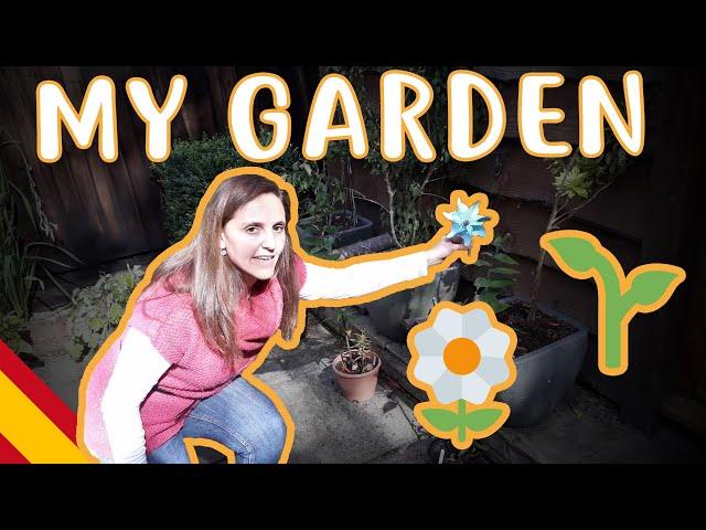 I show you my garden - Beginner Spanish - Daily Life #45