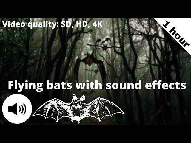 Dark spooky forest | Flying bats with sound effects | 1 hour of bats flying in the sky