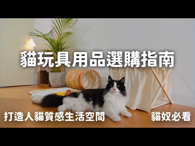 用韓國貓玩具打造人貓質感生活空間｜貓玩具用品使用方法及選購指南｜韓國 gotta go home EP87