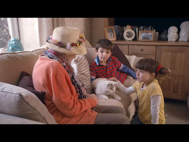 Tosia i Tymek po polsku | Zagubione koty | Topsy and Tim Polish