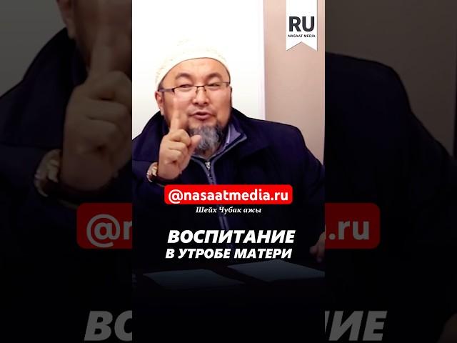 Воспитание в утробе матери. #насаатмедиа #rec #rek #film #шейх_чубак_ажы #live #чубакажы #ислам