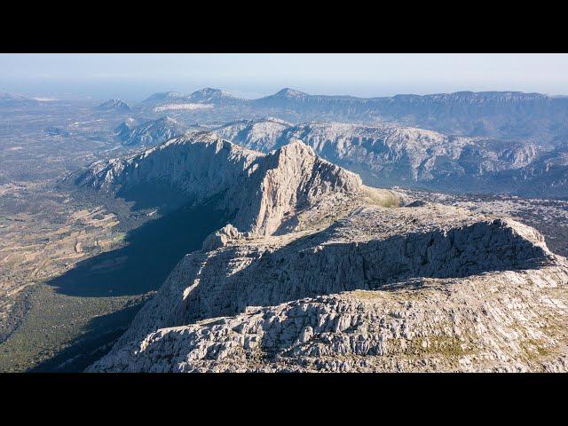 Il Monte Corrasi e i suoi mufloni - Oliena