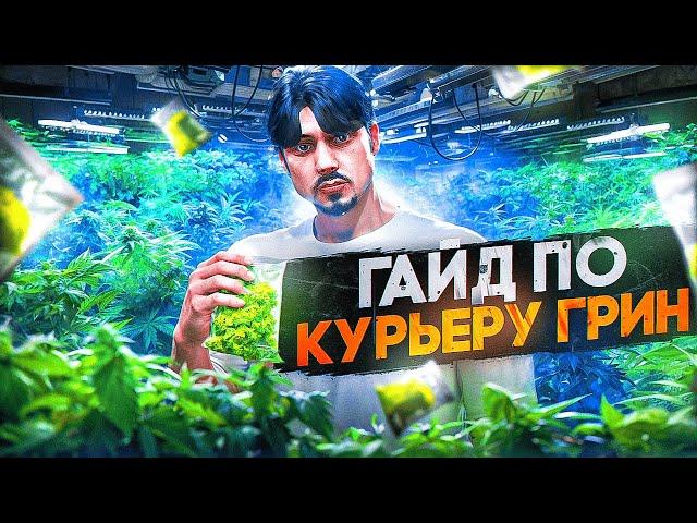 ПОЛНЫЙ ГАЙД ПО КУРЬЕРУ ГРИН 2025 в GTA 5 RP \ MAJESTIC RP