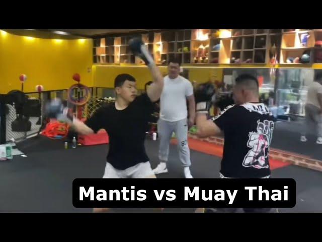 Mantis Kungfu Dojostorms Muay Thai Influencer