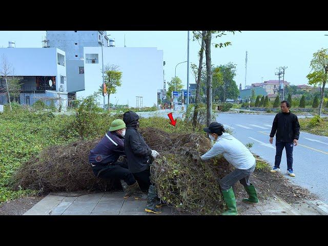 Gym teacher stunned to discover giant roll of grass in his neighborhood