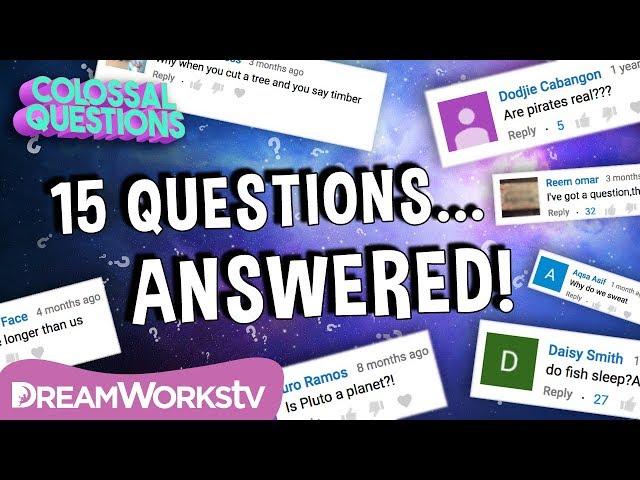 15 Quick Questions Answered!! | COLOSSAL QUESTIONS