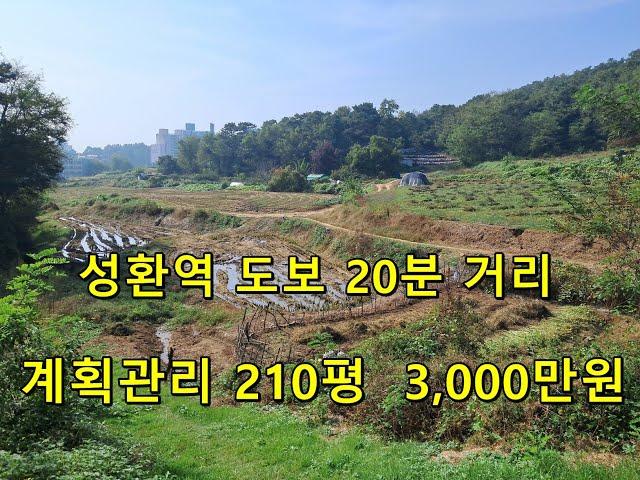 천안성환 토지 매매 주말농장용 210평 3,000만원