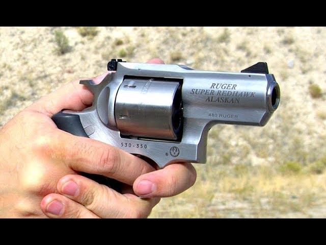 Shooting The Ruger Alaskan .480 Super Redhawk * One Mean SOB