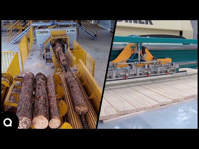 Incredible Modern Woodworking Factory  | Amazing Modern Automatic Wood Cutting Sawmill Machines