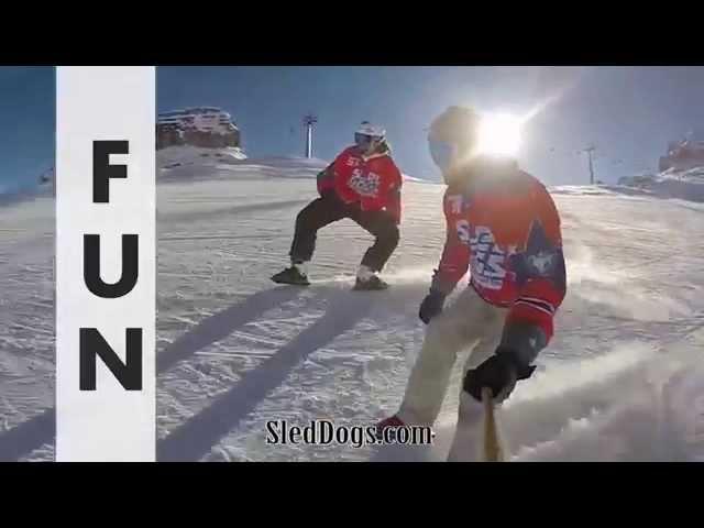 Sled Dogs Snowskates - New sport on the slopes!