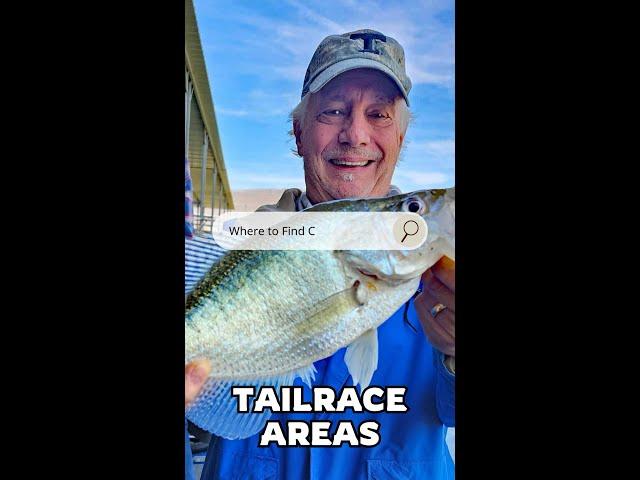 Catch More Crappie Below Dams! Top Tailrace Fishing Tips with Capt. Josh Antwine