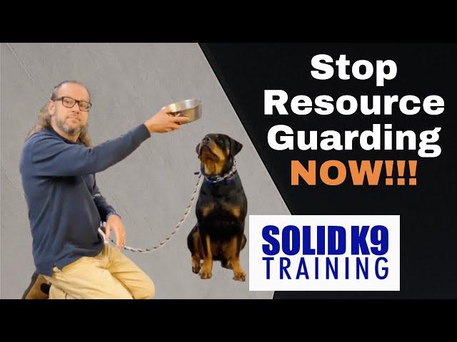 Stop Resource Guarding NOW!!! - Solid K9 Training (2021)