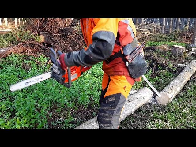 Husqvarna 135 Mark II chainsaw in the hands of a professional !!!