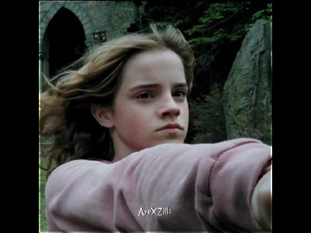  Hermione Granger - Look What You Made Me Do 